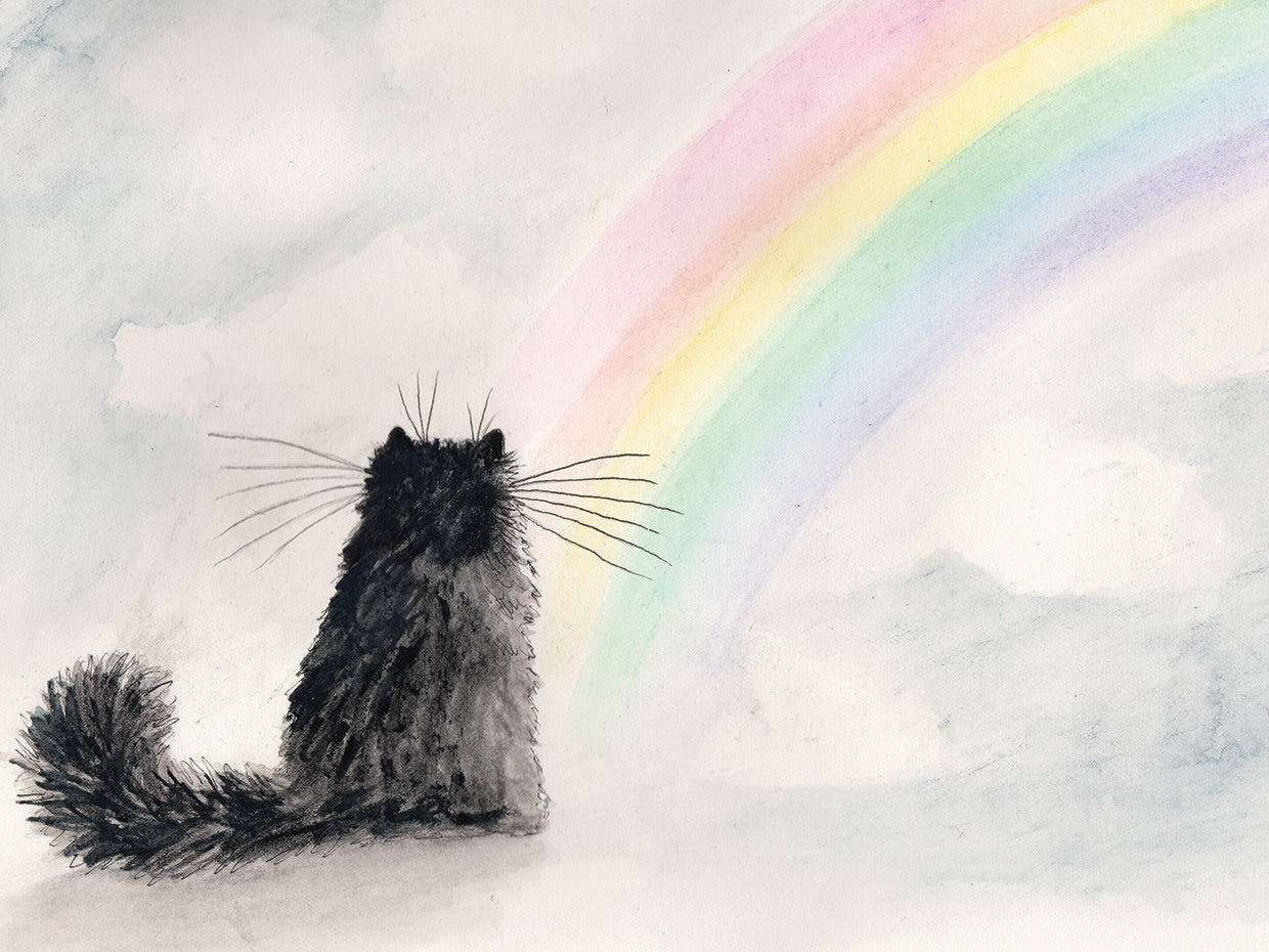 Lynne's Rainbow Cat