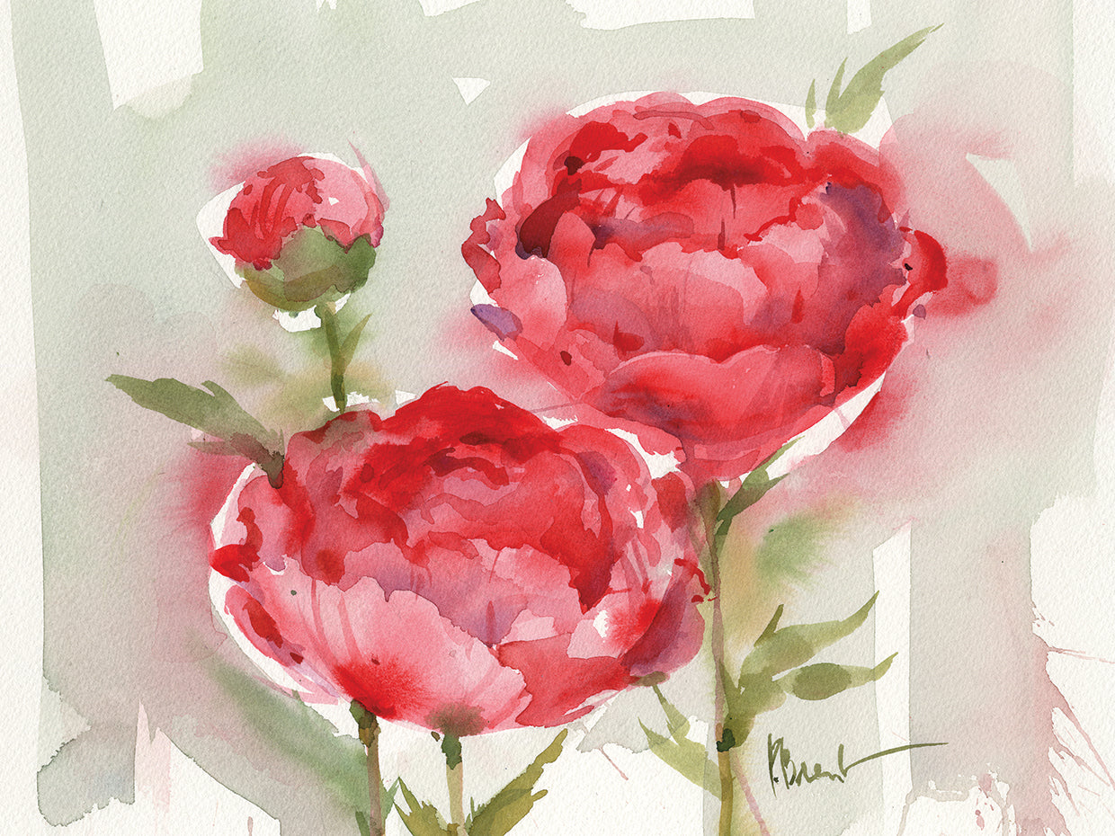 Peonias frescas Lienzo