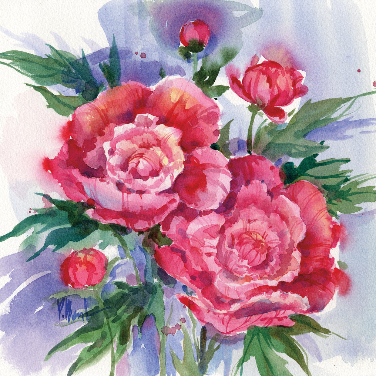 Peonias frescas Lienzo
