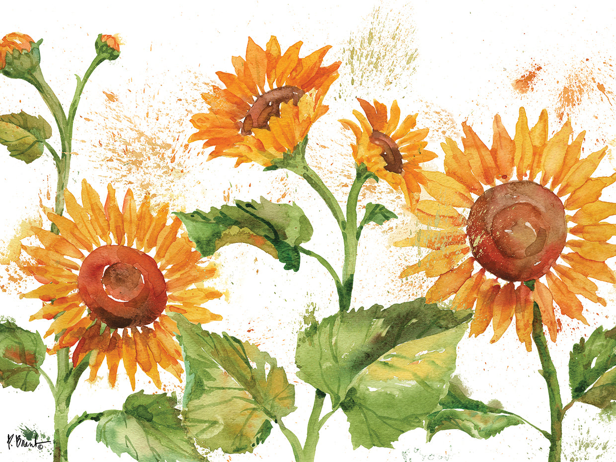 Arianna Girasoles Horizontales Lienzo