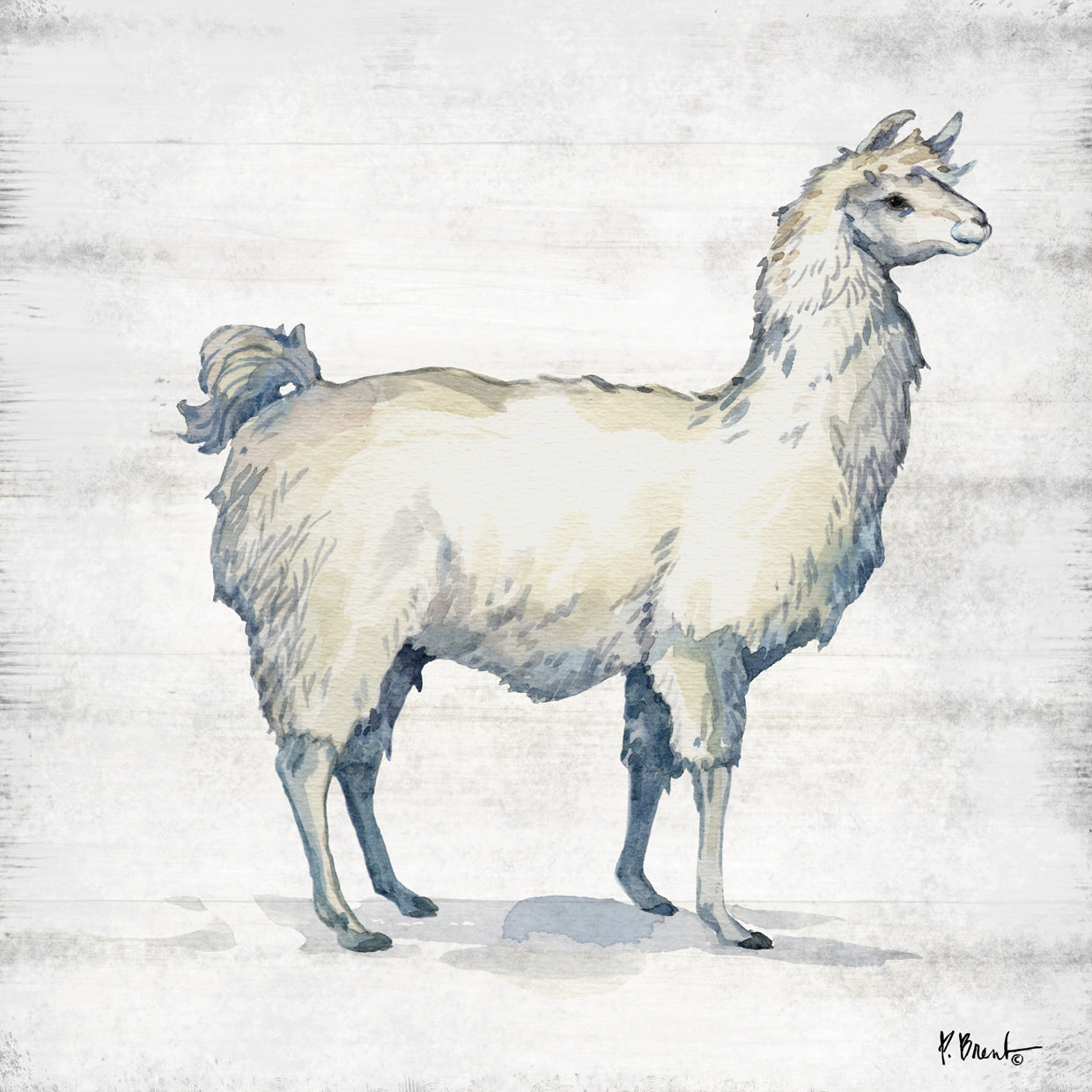 Farmhouse Llama I
