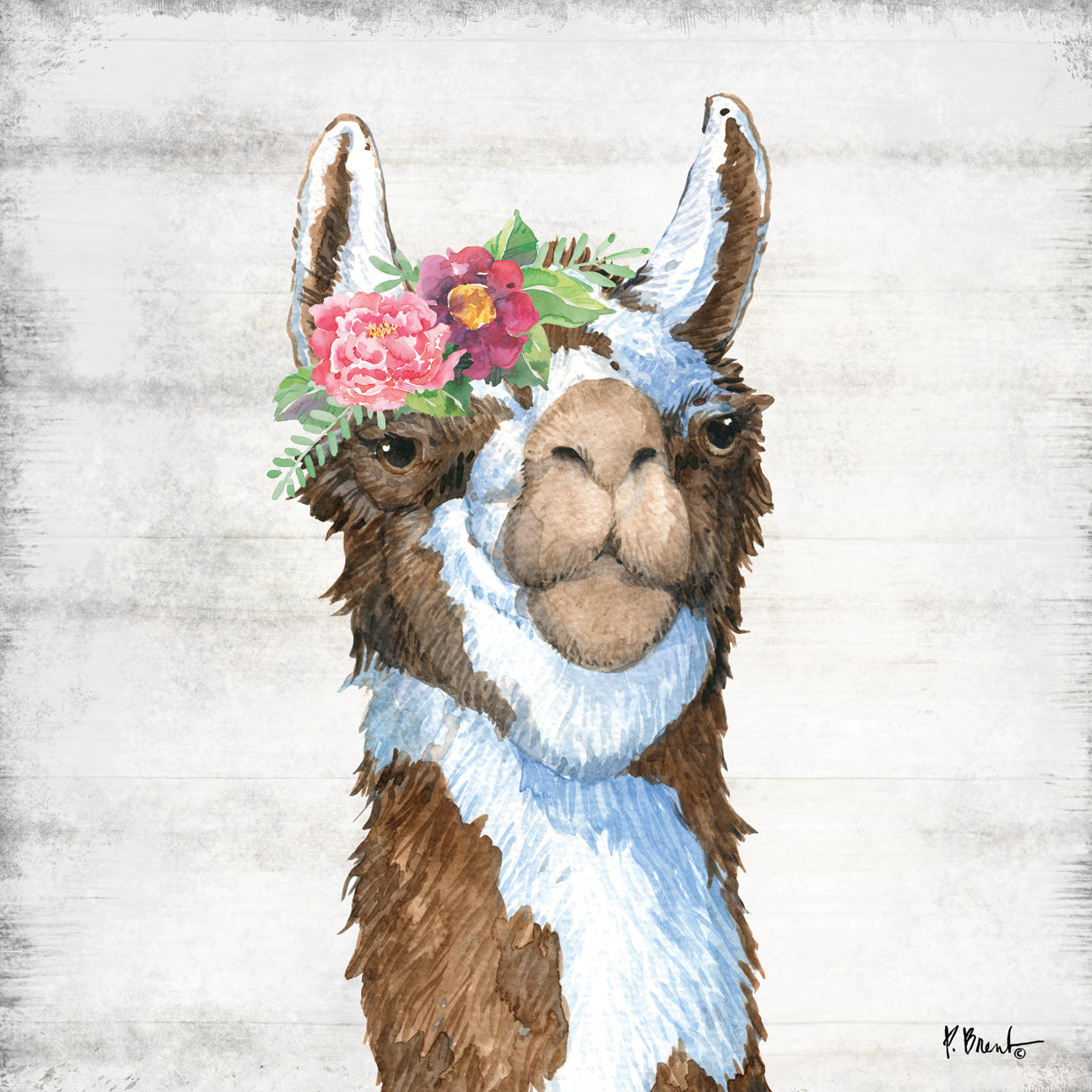 Llama Bloom III Lienzo