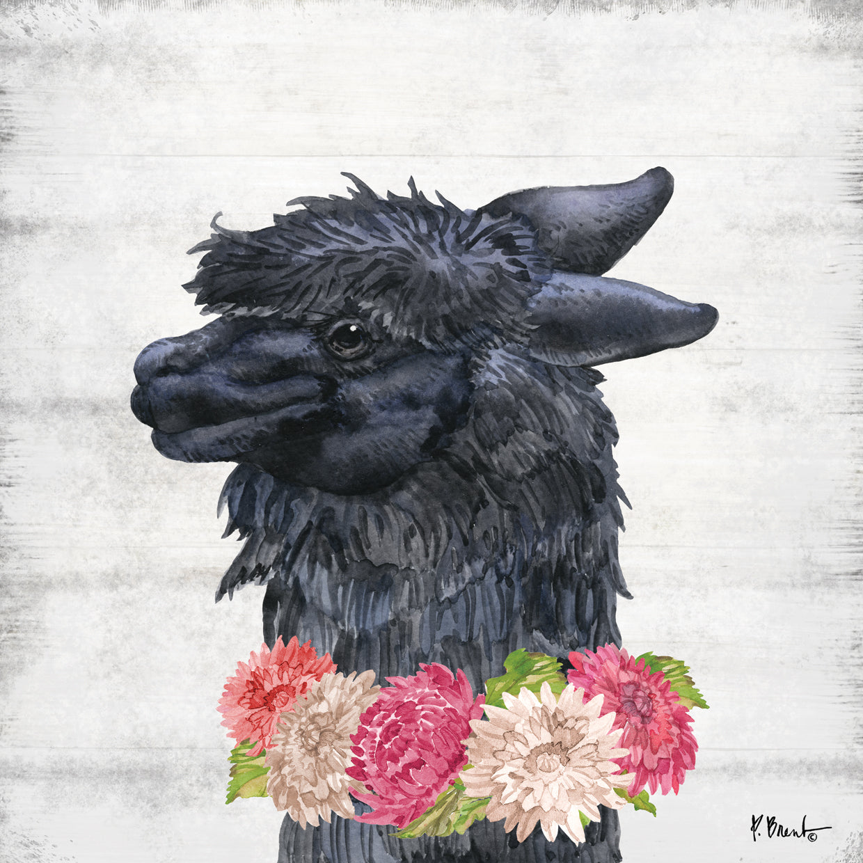 Llama Bloom IV Lienzo