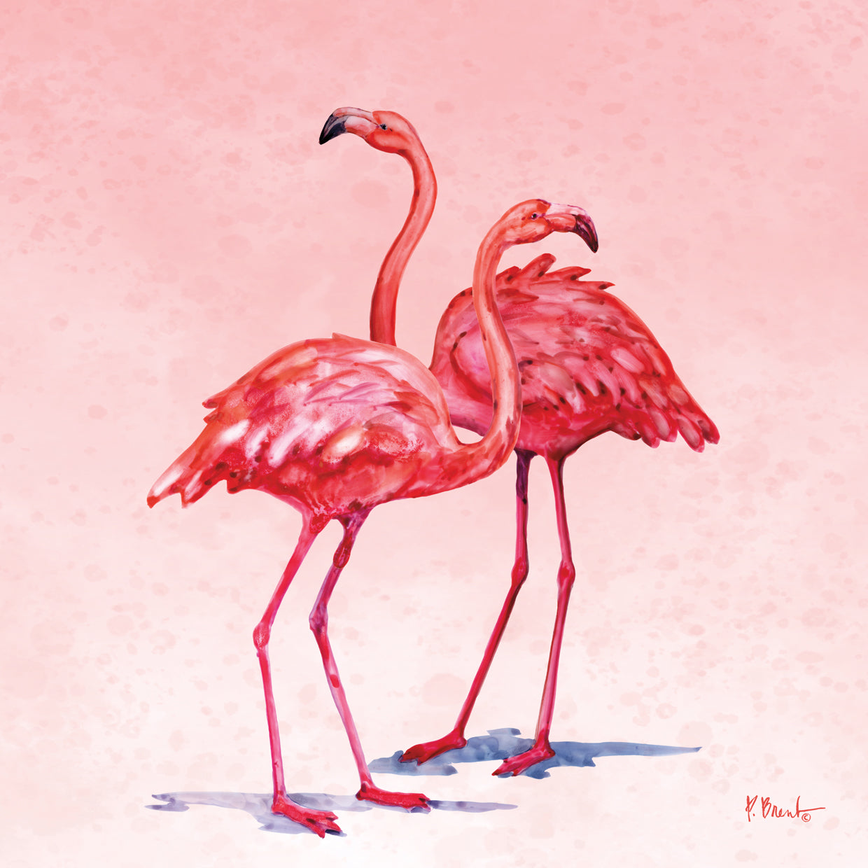 Hilo Flamencos II Lienzo
