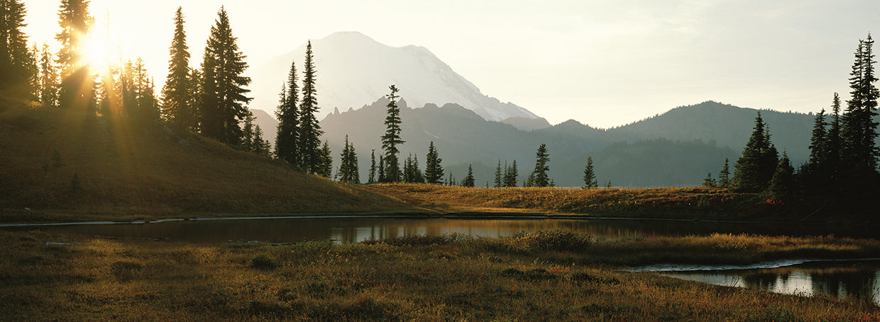 Hermoso Monte Rainier Lienzo