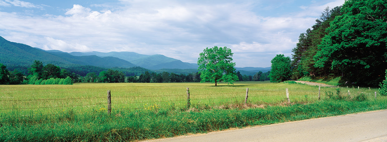 Campo rural de Cades Cove Lienzo