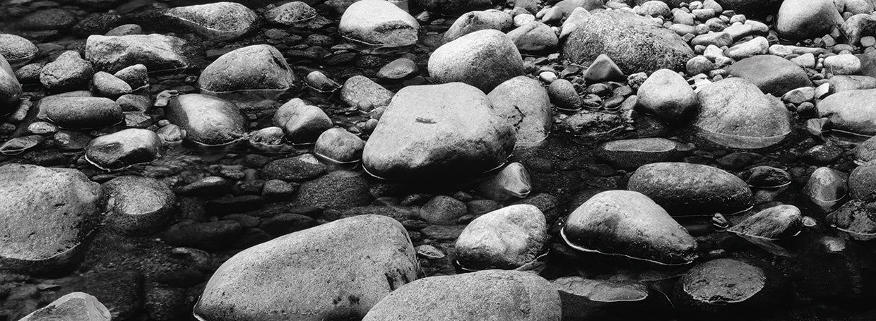 Rocas del río del bosque Lienzo