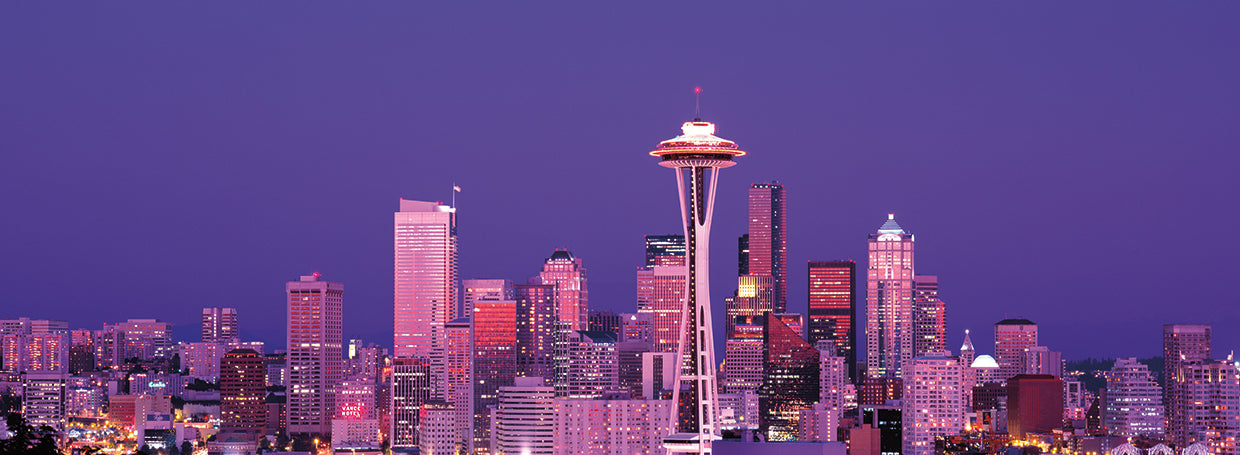 Destellos nocturnos de Seattle Lienzo