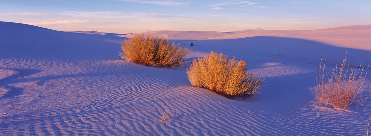 White Sands Ripples