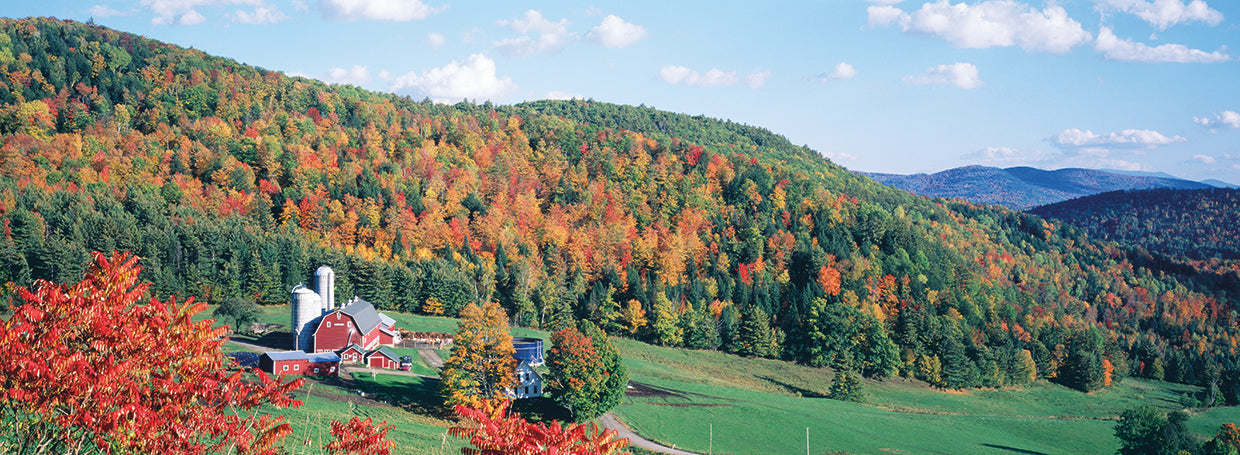 Vermont Hillside Farm