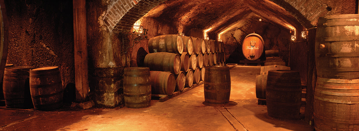 Sonoma Wine Barrels