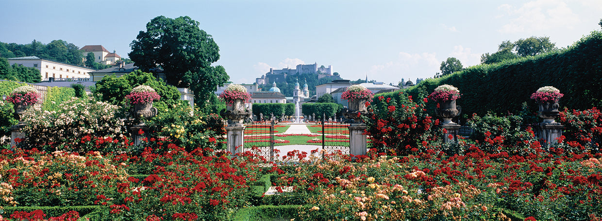 Flores del jardín de Salzburgo Lienzo
