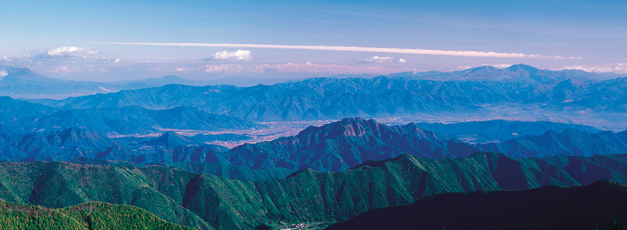 Nagano japón Lienzo