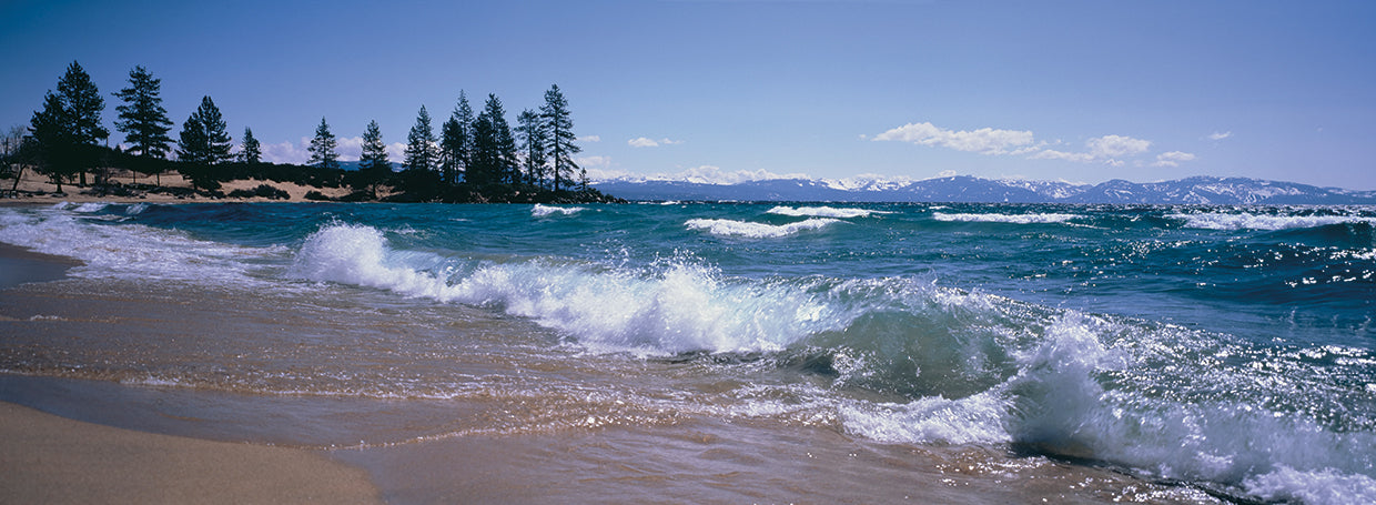 Bosque del lago Tahoe Lienzo
