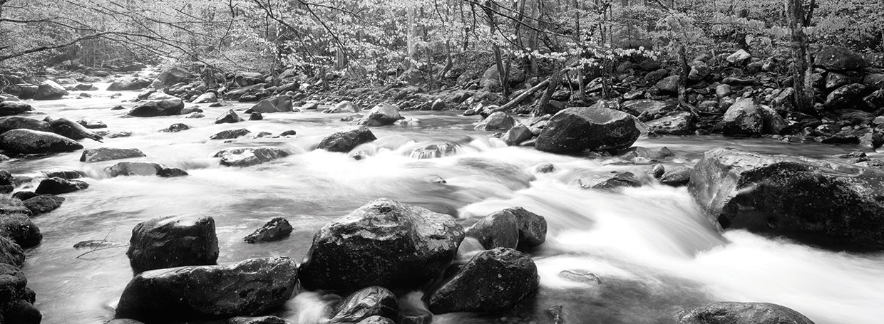 Rocas de río corriendo Lienzo