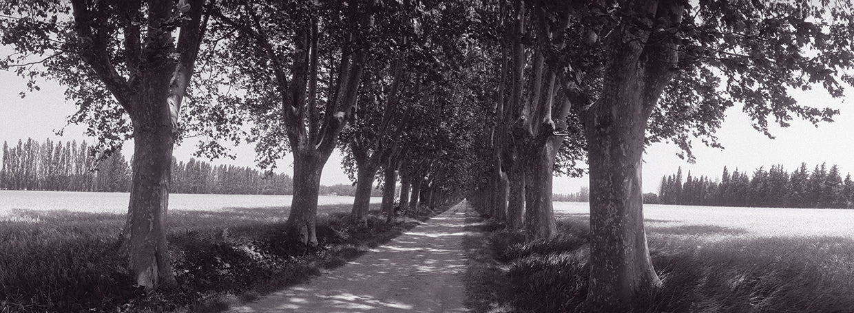 Explorando Provenza Lienzo