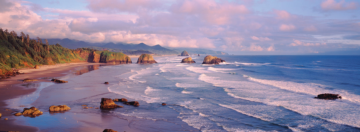 Costa de Cannon Beach Lienzo