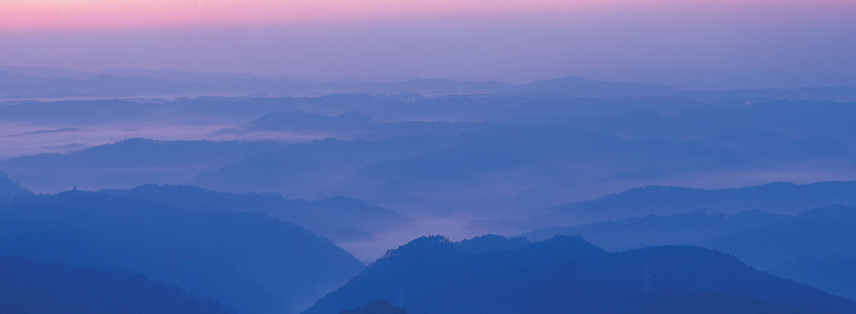 Japanese Blue Mountains