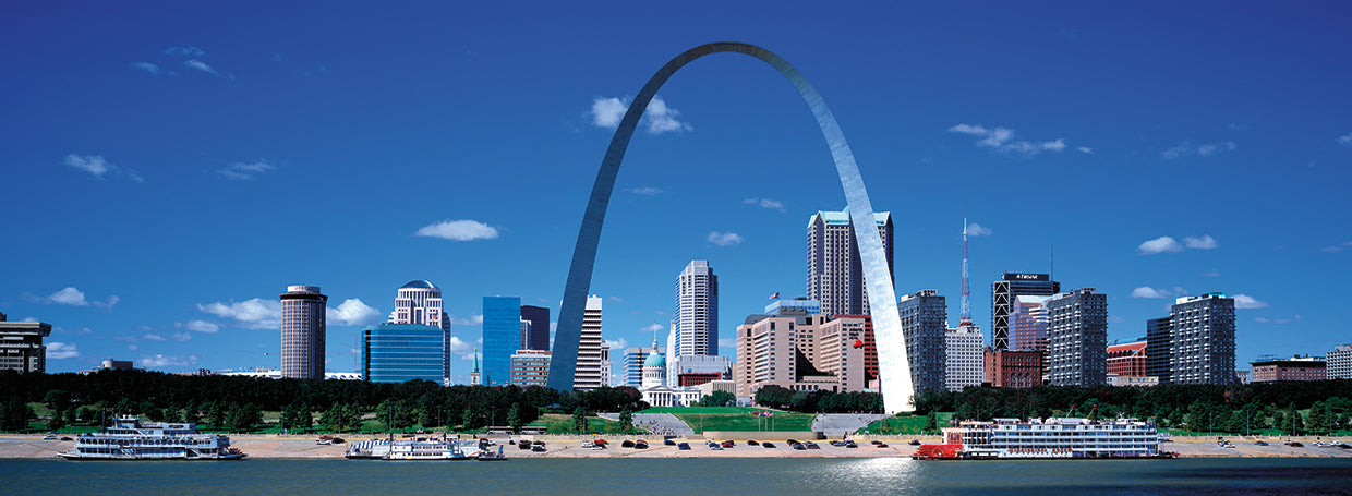 Saint Louis Skyline