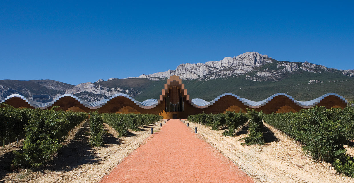 Bodega Tintos Españoles Lienzo