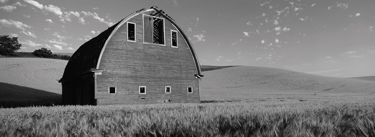 Wheatfield Old Barn