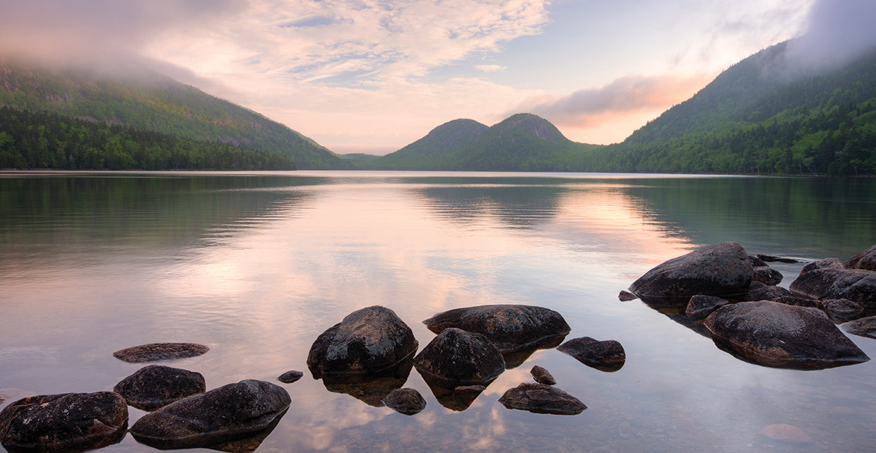 Misty Morning Maine Lienzo