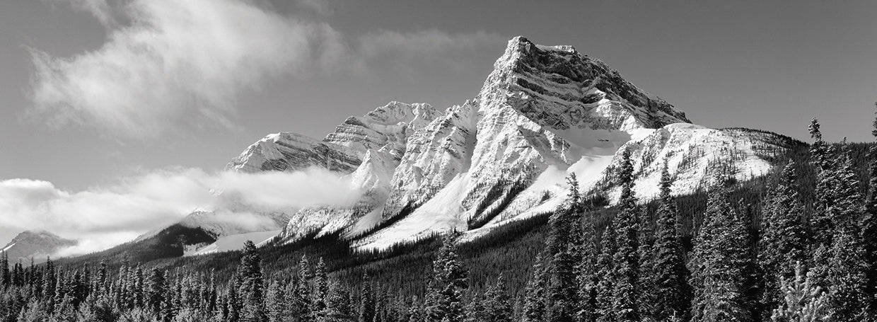 Invierno de las Montañas Rocosas canadienses Lienzo