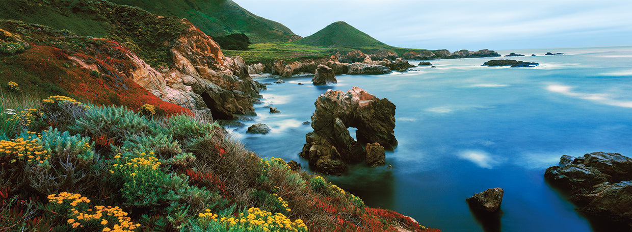 Costa de Monterrey Lienzo