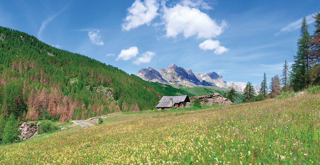 Chalet del valle francés Lienzo