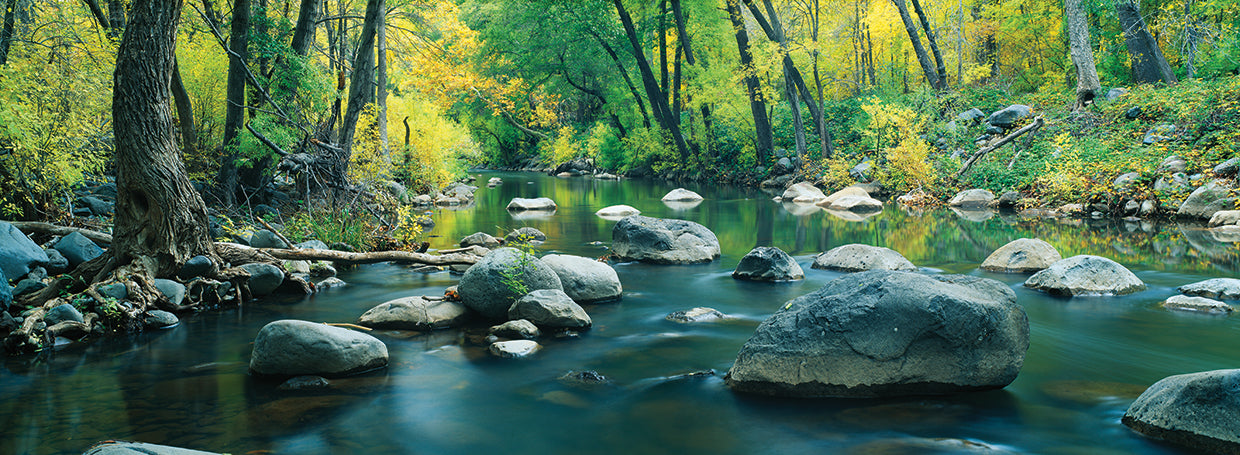 Sedona Canyon Stream