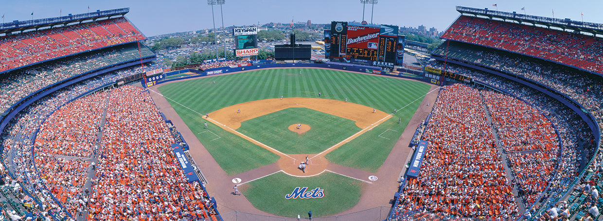 Shea Stadium Baseball