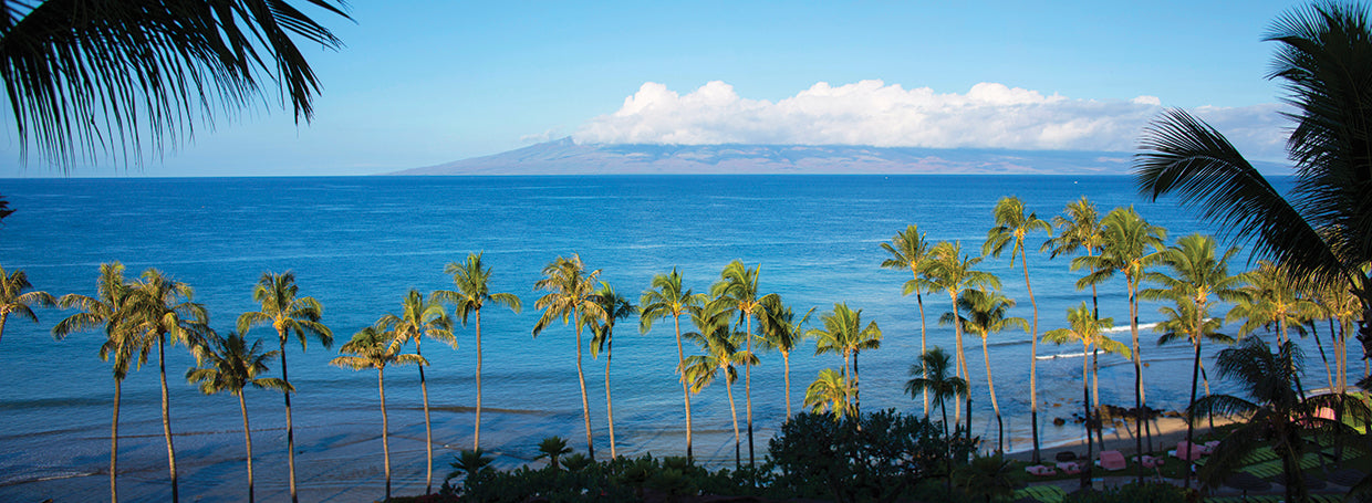 Brisas tropicales Maui Lienzo