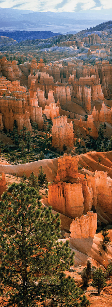 Cañón Bryce dentado Lienzo