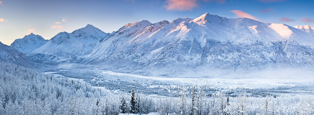 Pico del oso polar Alaska Lienzo