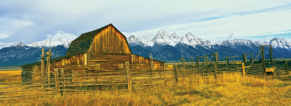 Teton Barn Sunrise