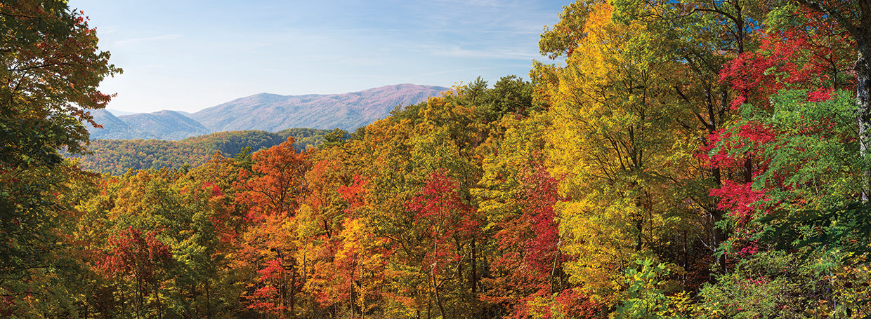 Smoky Mountains Autumn