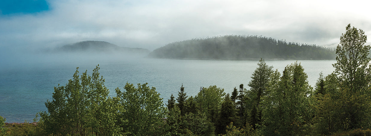 Foggy Ontario Canada