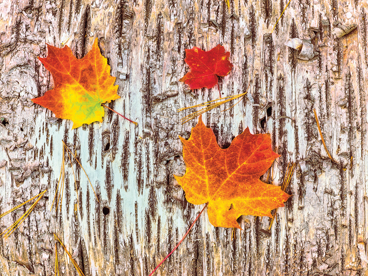 Great Sand Bay Michigan