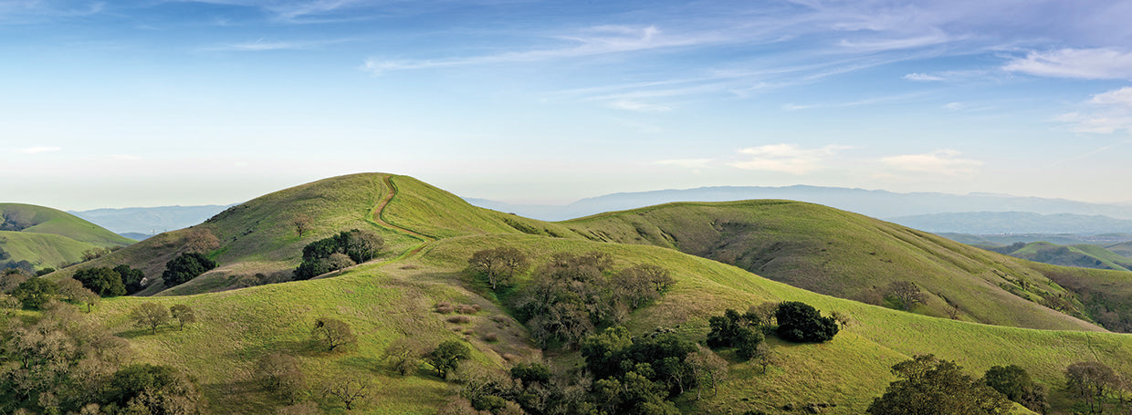 Colinas onduladas de California Lienzo
