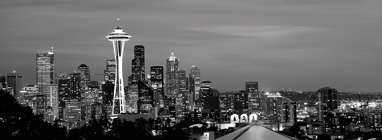 Rascacielos Space Needle Lienzo