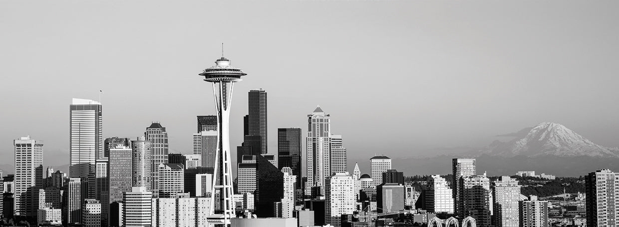 Horizonte de Seattle Silvers Lienzo
