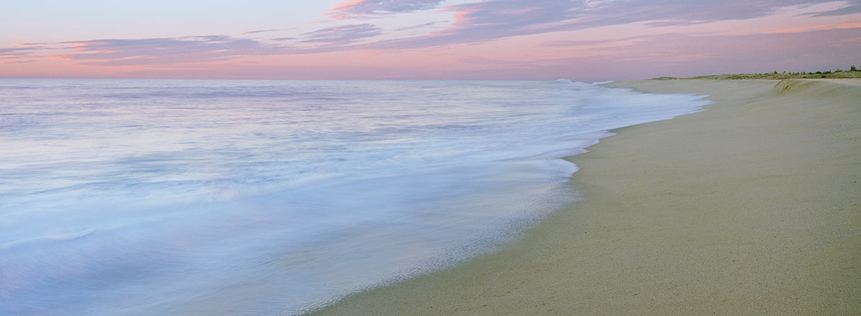 Peaceful Sands Pacific Beach