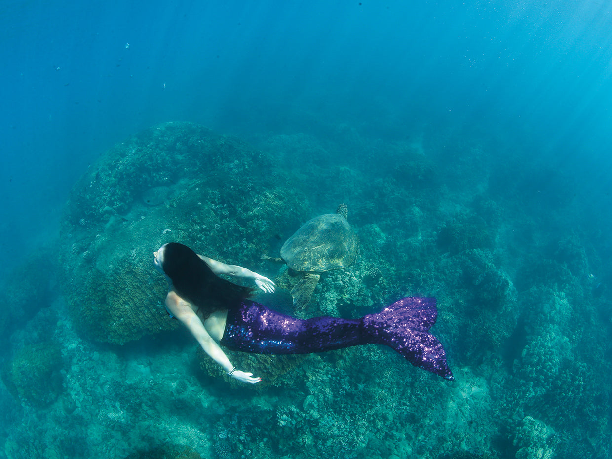 Sirena submarina Lienzo