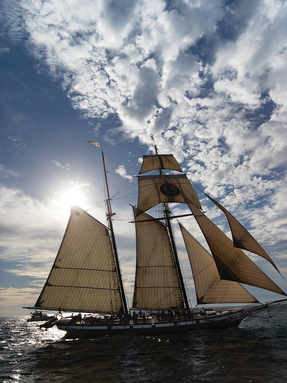 Barco del puerto de Dana Point Lienzo
