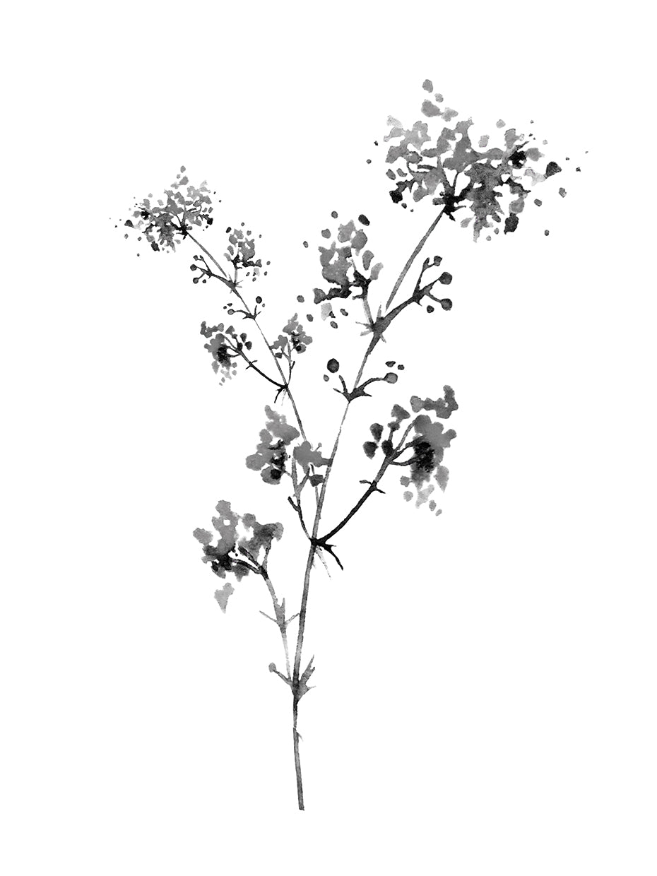 Neutral Washed Botanical I