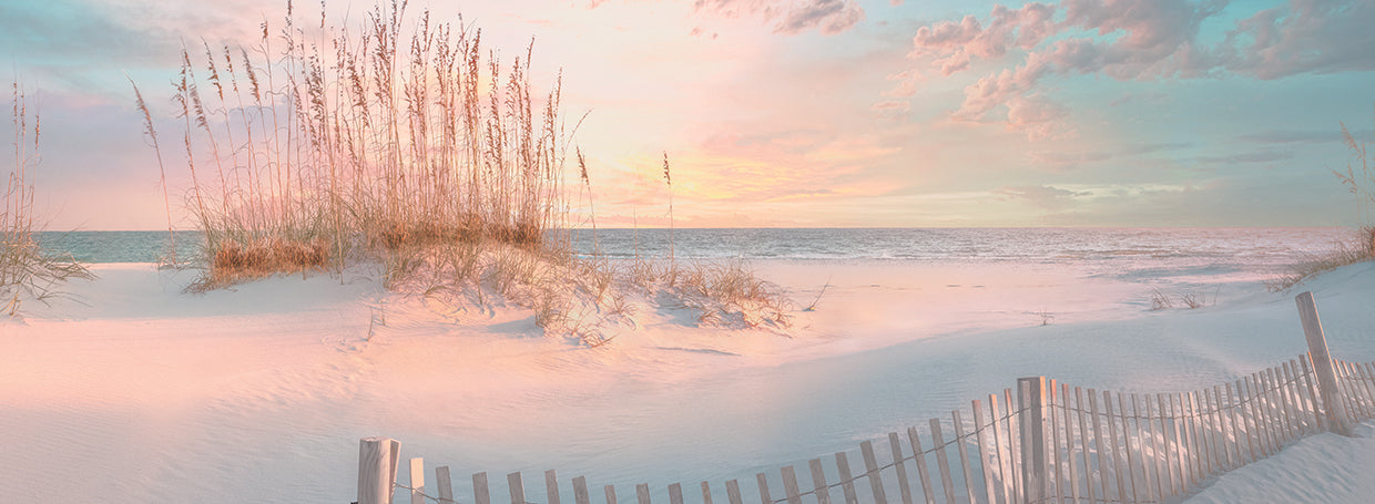 Through the Sea Grass