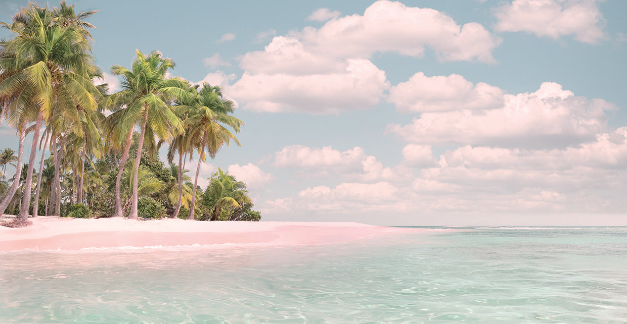 Pink Sand and Palms