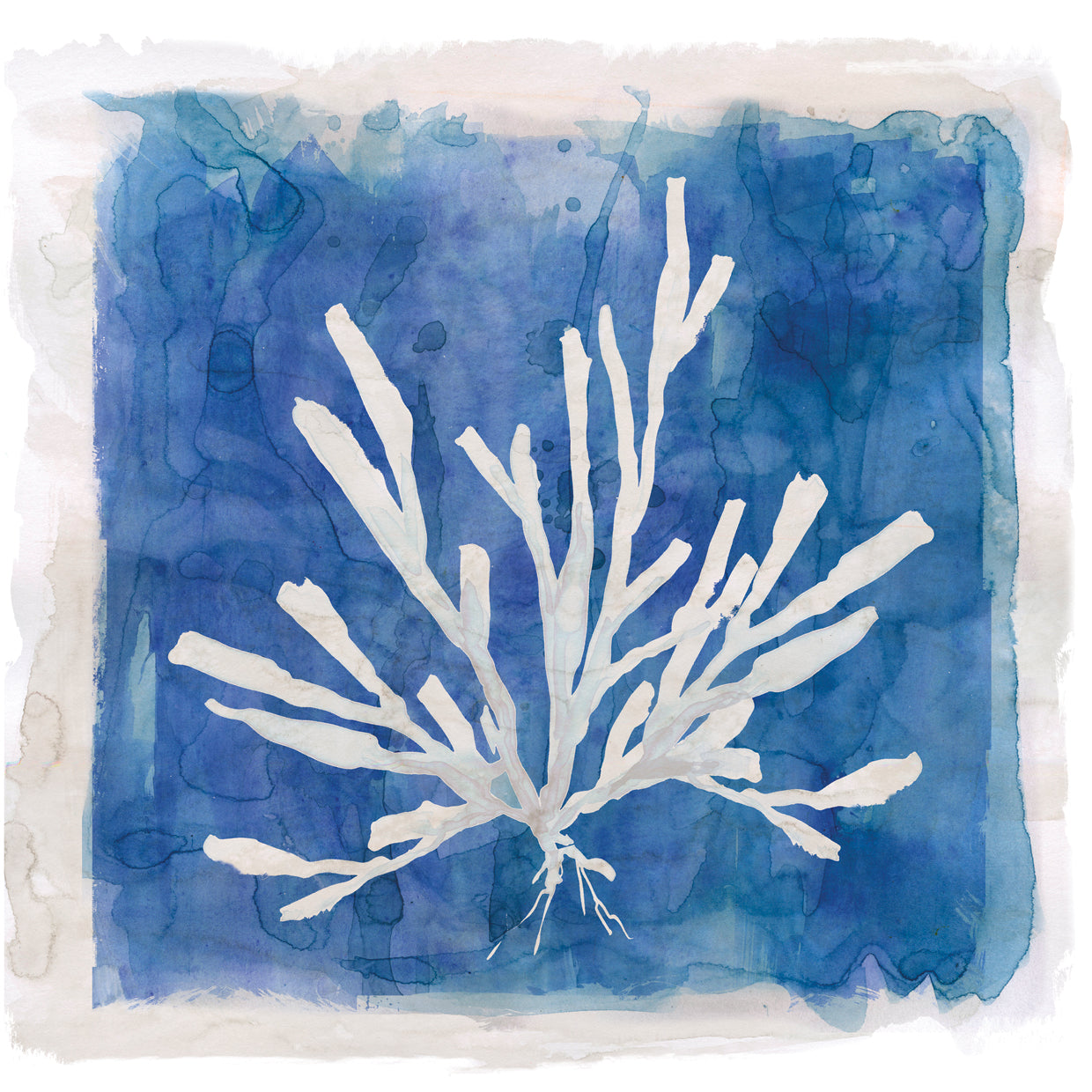 Coastal Washes Coral I