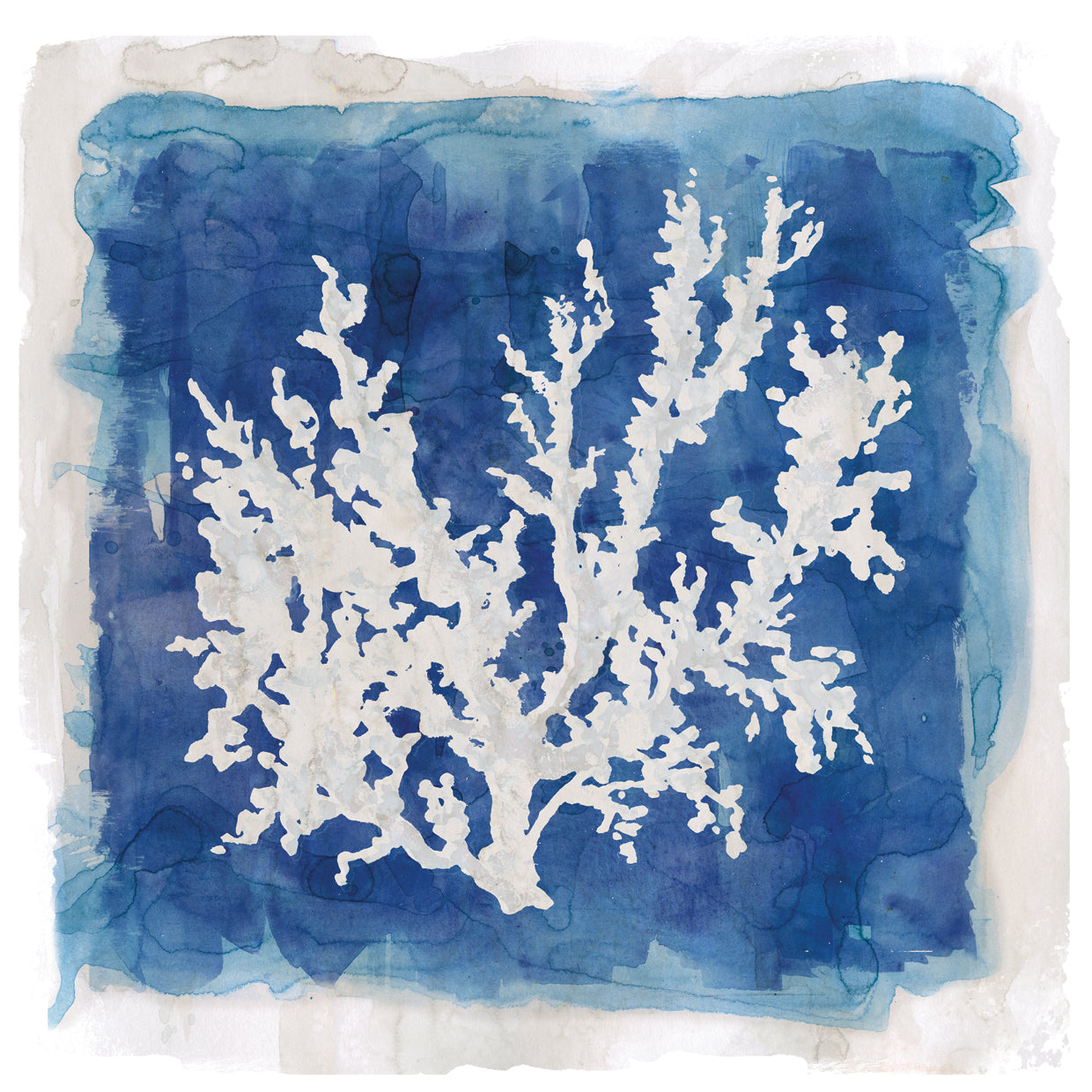Coastal Washes Coral II