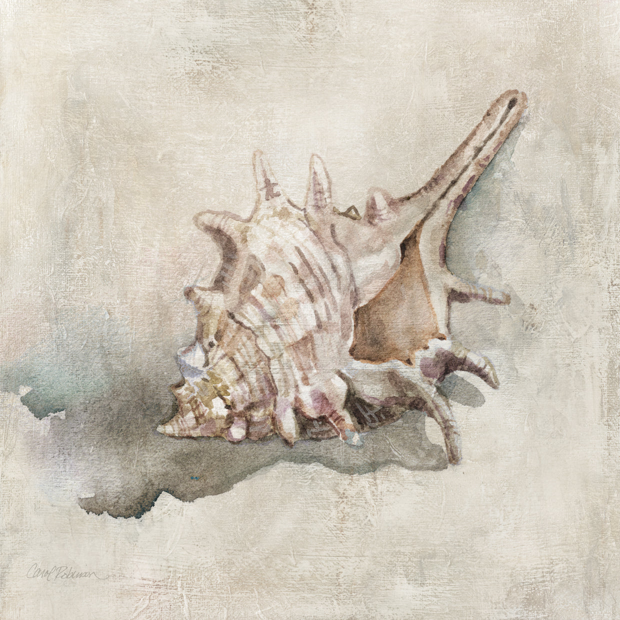 Texturas de conchas marinas I Lienzo